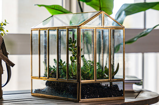 Urban Born Large Terrarium Greenhouse, Glass Metal, Indoor Display Case, Unique Gift Idea, Succulent Container, Orchid Planter, Home Decor.