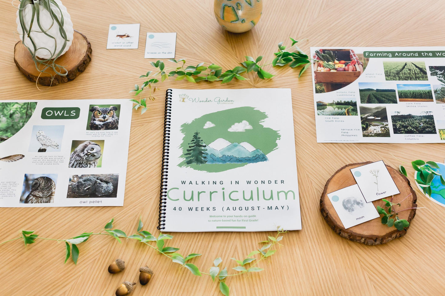 Nature-based First Grade Homeschool Curriculum: Secular, Whole-child focus, Hands-on