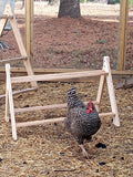 Chicken Roost, Medium size