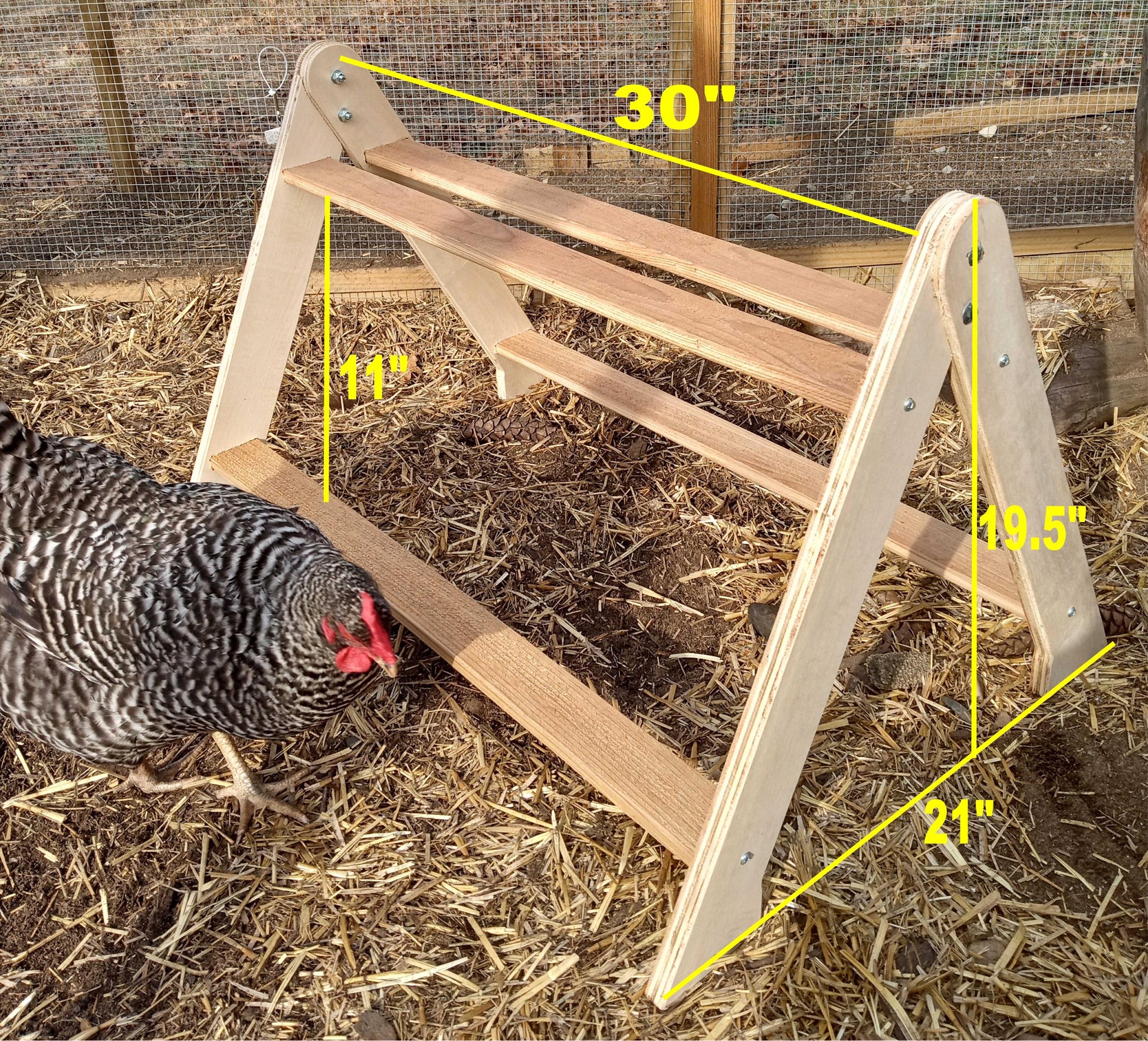Chicken Roost, Medium size