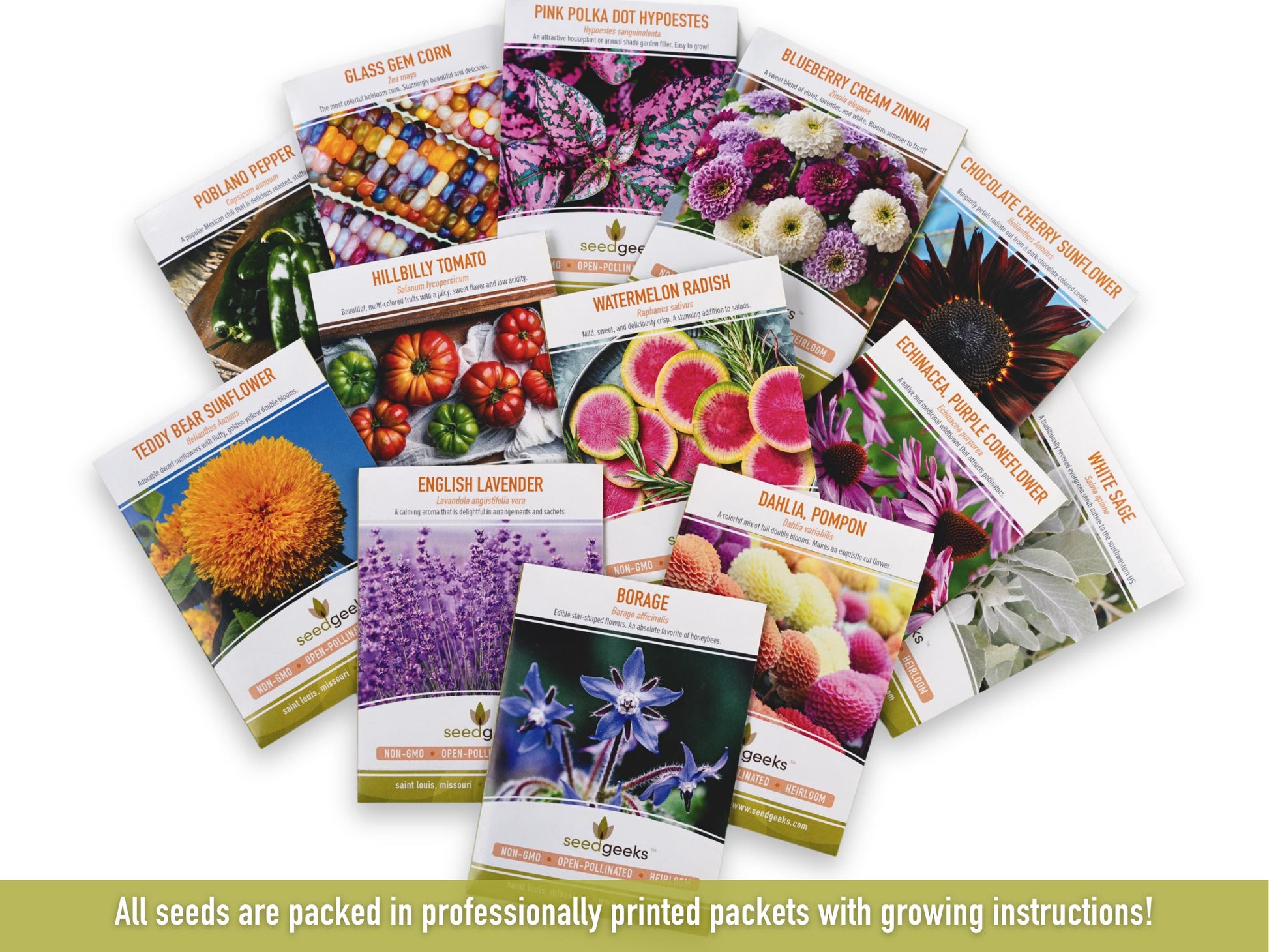 Amish Paste Tomato - 30 Seeds - Heirloom Tomato, Large Paste Tomato, Sauce Tomato, Plum Tomato, Oxheart Tomato, Homemade Catsup, OP, Non-GMO