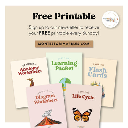MEGA BUNDLE Montessori Nomenclature Cards | Educational Vocabulary Cards | Preschool Kindergarten | 15 Themes