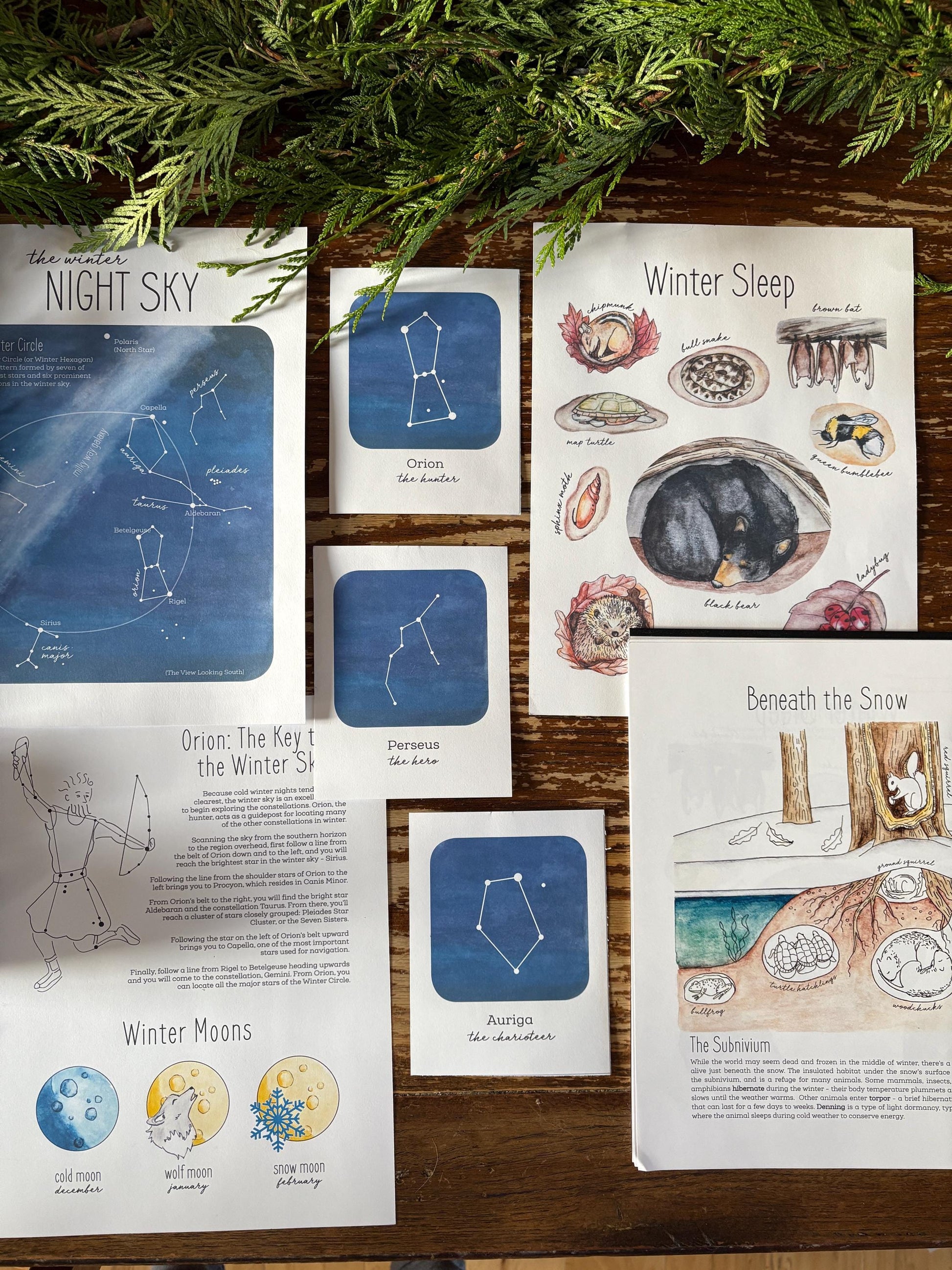 The Seasons – A Year of Nature Journaling - Charlotte Mason Homeschool Nature Printable