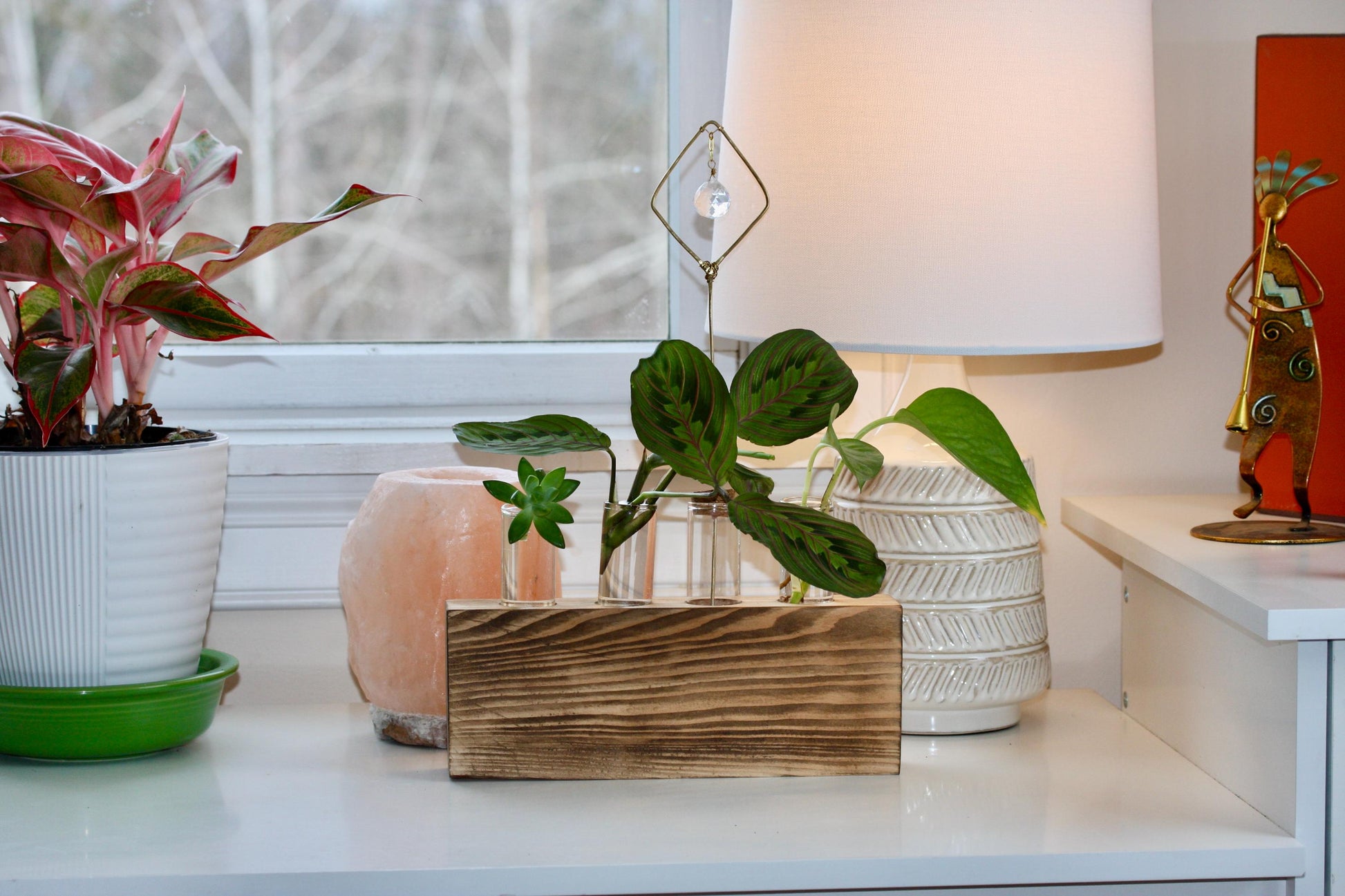 Plant Propagation Gift Includes Glass Vial* Free Shipping Included in the USA 8 Hydroponic Plant Holder Accessory Desk Decor