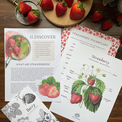Strawberry Unit - Looking Glass Nature Study | Summer Unit | Homeschool Printable