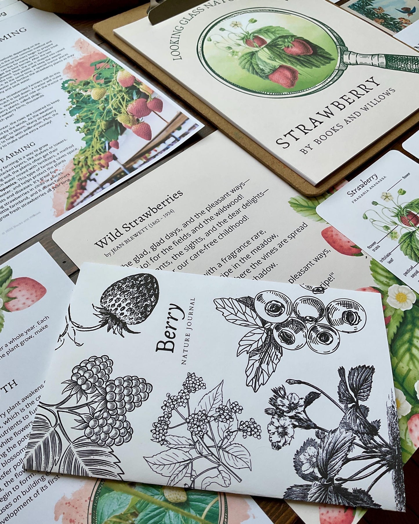 Strawberry Unit - Looking Glass Nature Study | Summer Unit | Homeschool Printable