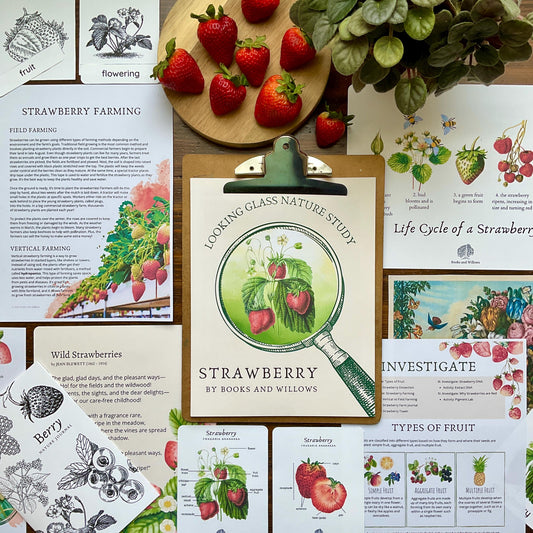 Strawberry Unit - Looking Glass Nature Study | Summer Unit | Homeschool Printable