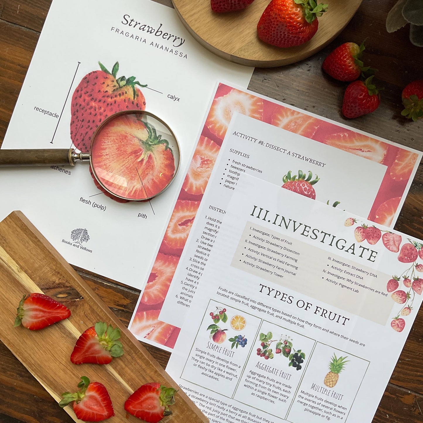 Strawberry Unit - Looking Glass Nature Study | Summer Unit | Homeschool Printable