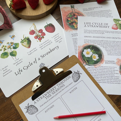 Strawberry Unit - Looking Glass Nature Study | Summer Unit | Homeschool Printable