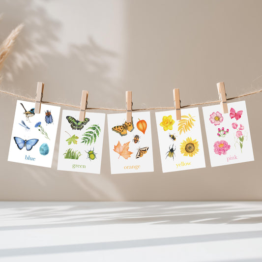Colour Nature Flashcards, Nature Inspired,  Printable Colour Flashcards for Kids, Educational Printable Cards, Montessori Flashcards Dowload