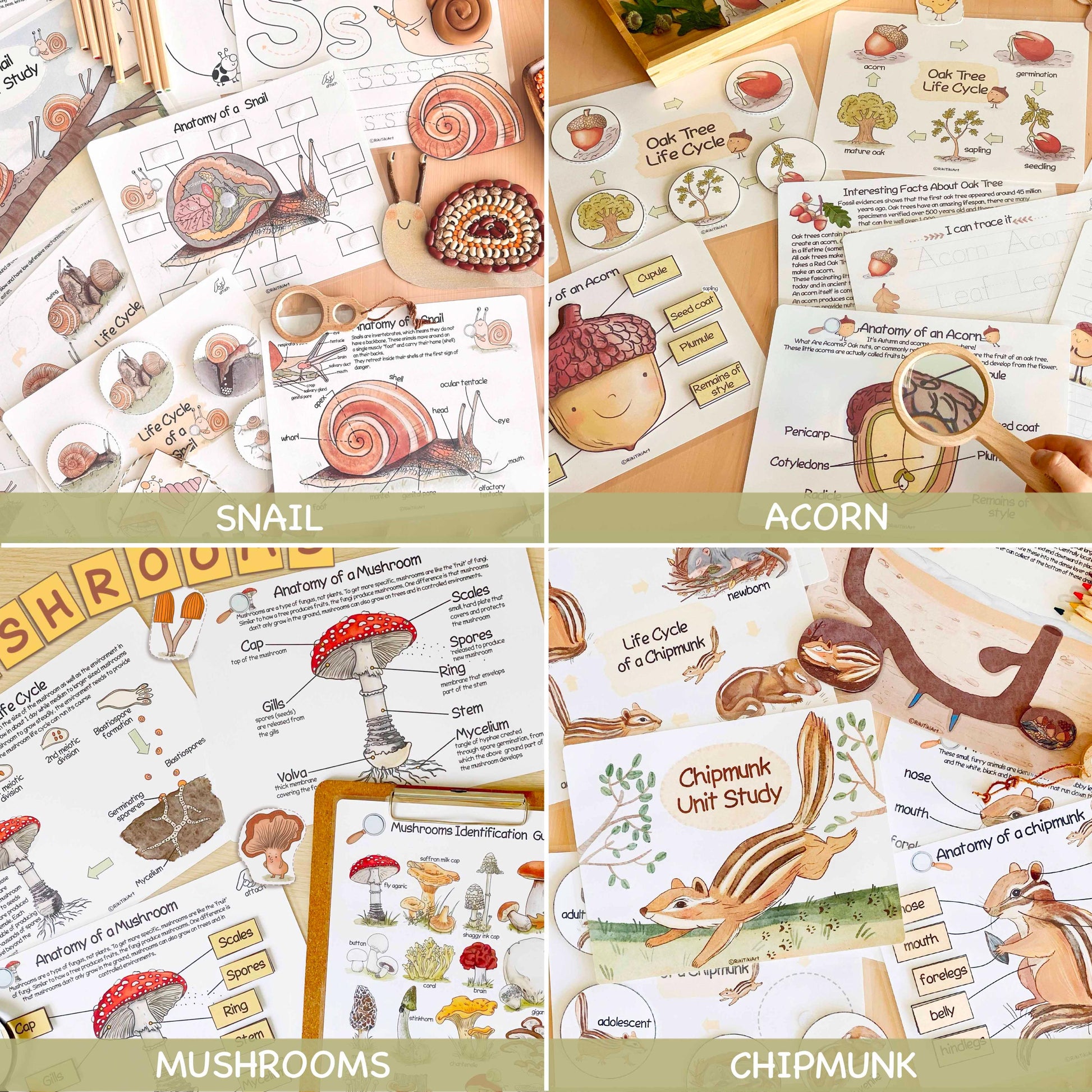 26 Unit Studies MEGA BUNDLE Homeschool Printable Charlotte Mason Toddler Busy Book Toddler Activities Nature Study Preschool Curriculum