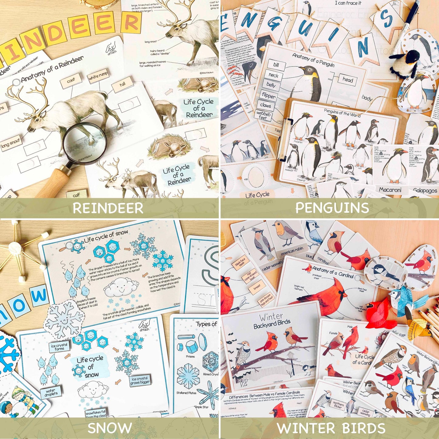 26 Unit Studies MEGA BUNDLE Homeschool Printable Charlotte Mason Toddler Busy Book Toddler Activities Nature Study Preschool Curriculum