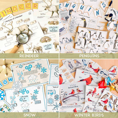 26 Unit Studies MEGA BUNDLE Homeschool Printable Charlotte Mason Toddler Busy Book Toddler Activities Nature Study Preschool Curriculum