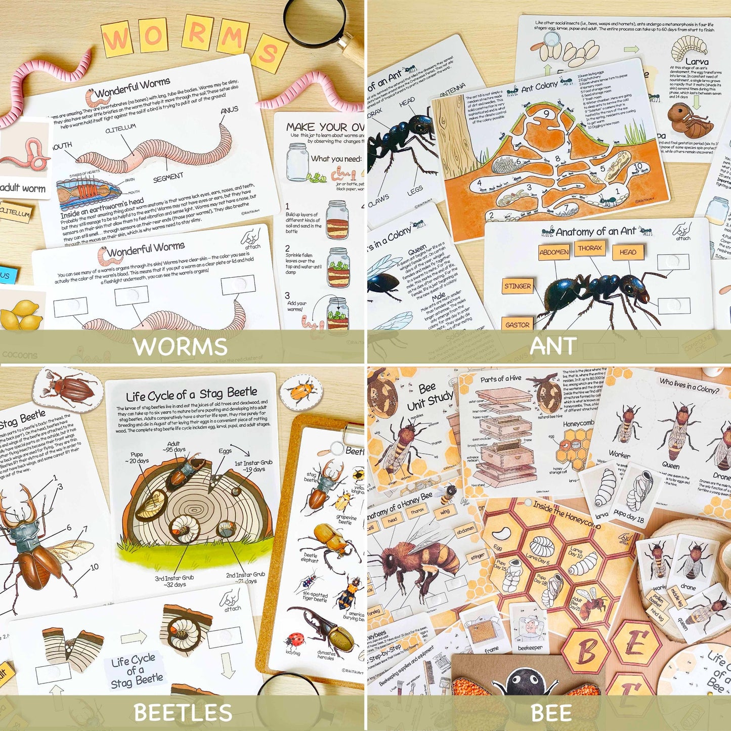 26 Unit Studies MEGA BUNDLE Homeschool Printable Charlotte Mason Toddler Busy Book Toddler Activities Nature Study Preschool Curriculum