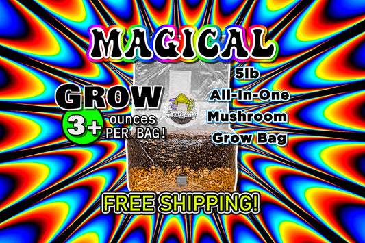 The Magical 5lb All-In-One Mushroom Grow Bag | FREE SHIPPING