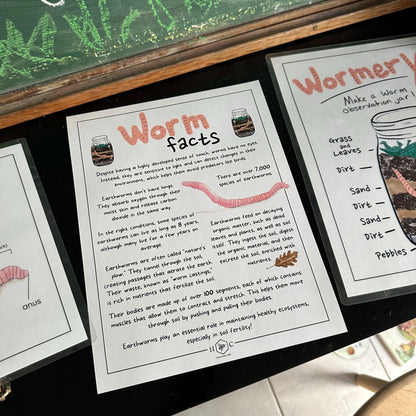 Anatomy of a Worm and Wormery activity with record | Charlotte Mason Nature Educational Printable