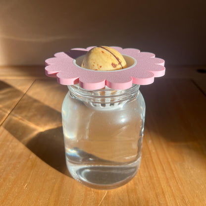 Propagation Cone for Mason Jars | Avocado Seed Sprouter | Cute Flower Lid