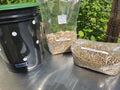5-Gallon Mushroom Bucket Grow Kit: DIY Oyster Mushrooms