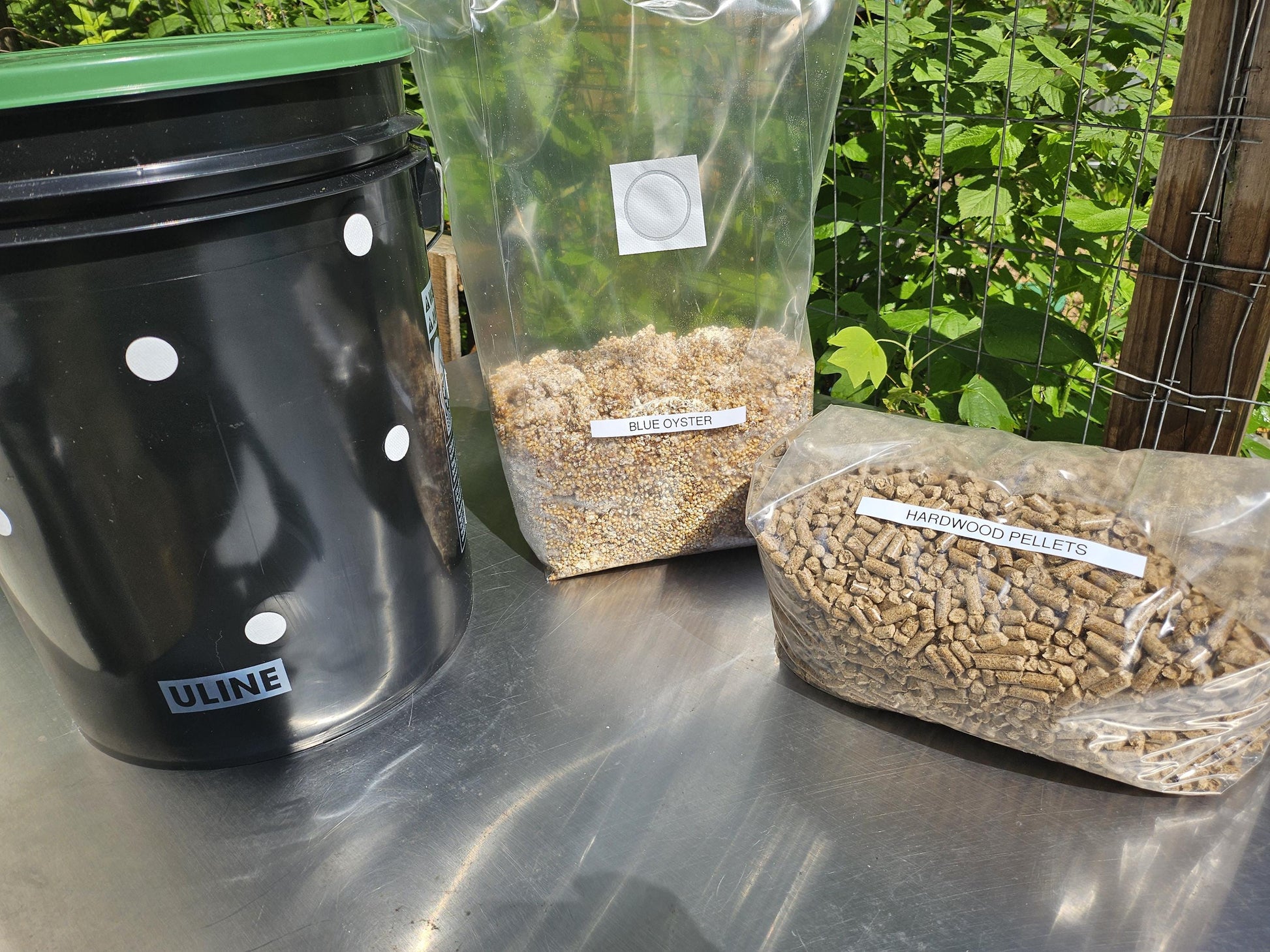 5-Gallon Mushroom Bucket Grow Kit: DIY Oyster Mushrooms