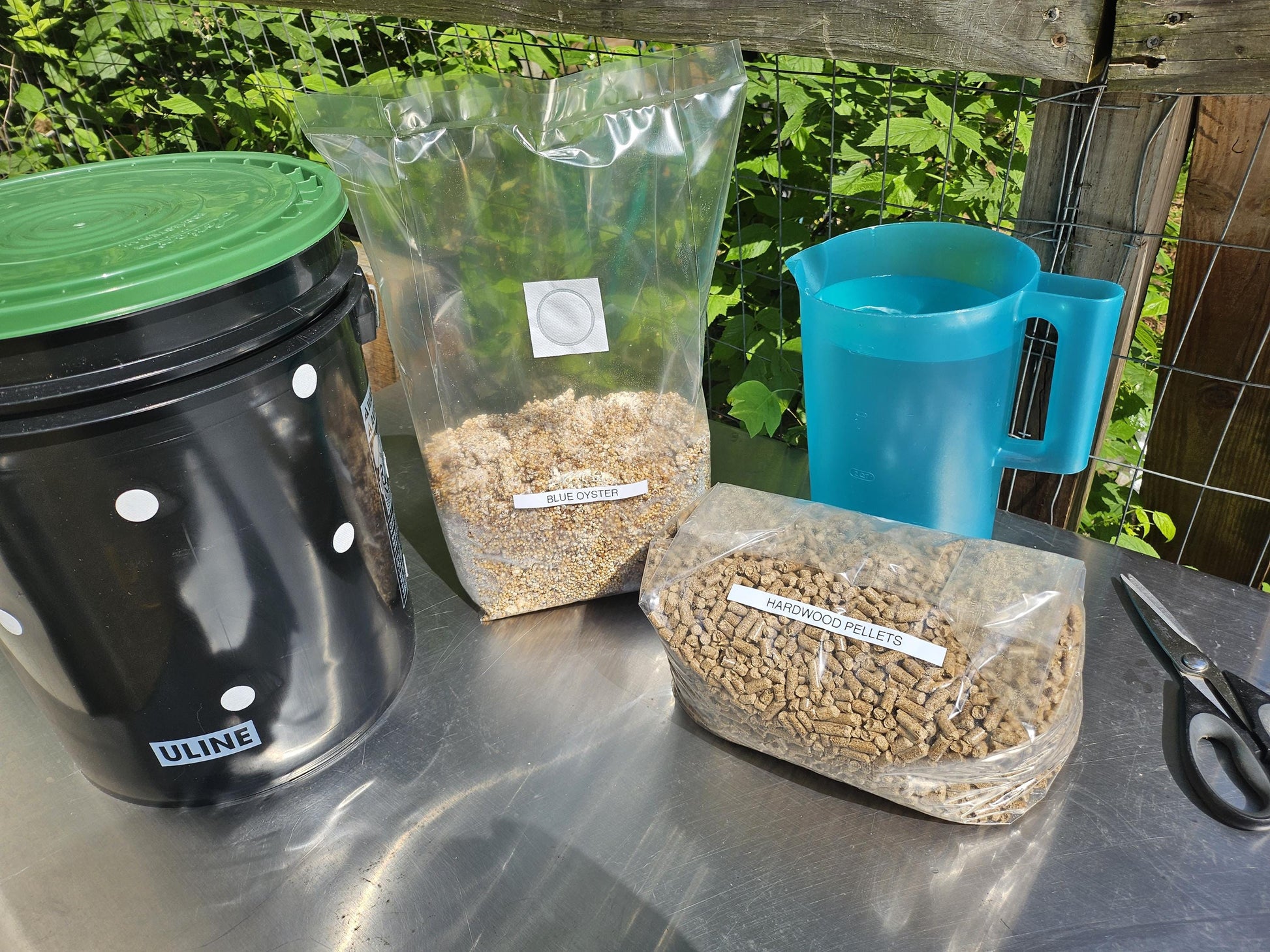 5-Gallon Mushroom Bucket Grow Kit: DIY Oyster Mushrooms