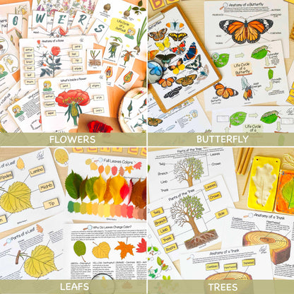 26 Unit Studies MEGA BUNDLE Homeschool Printable Charlotte Mason Toddler Busy Book Toddler Activities Nature Study Preschool Curriculum