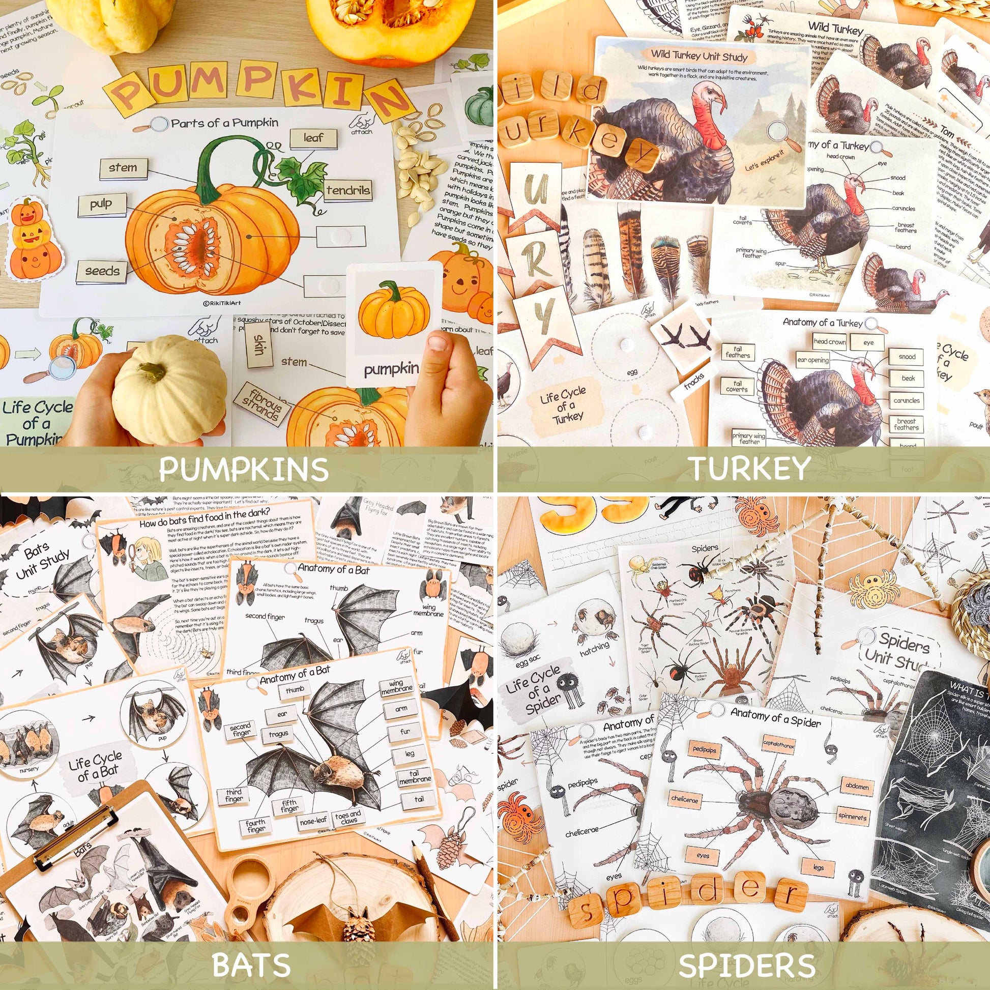 26 Unit Studies MEGA BUNDLE Homeschool Printable Charlotte Mason Toddler Busy Book Toddler Activities Nature Study Preschool Curriculum