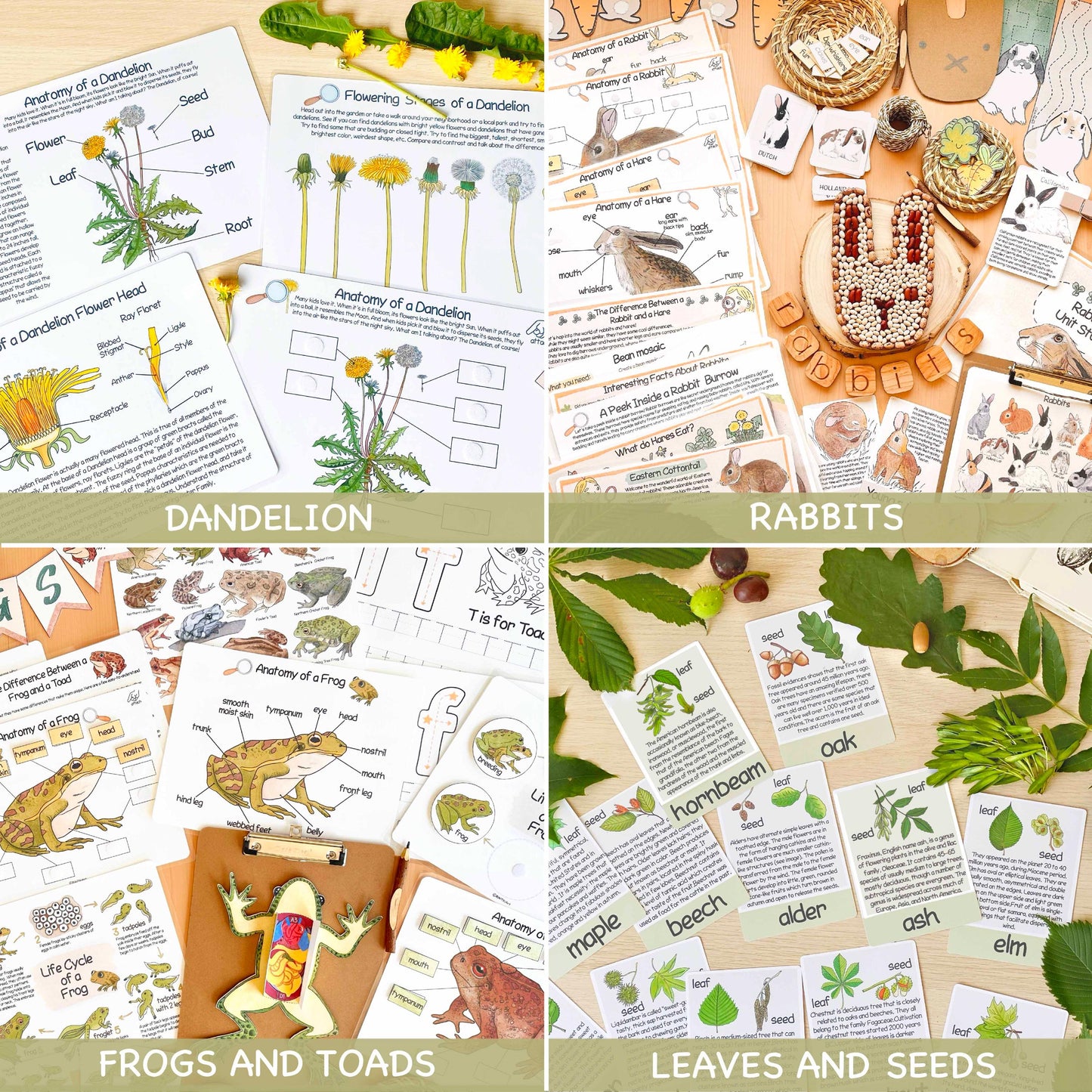 26 Unit Studies MEGA BUNDLE Homeschool Printable Charlotte Mason Toddler Busy Book Toddler Activities Nature Study Preschool Curriculum