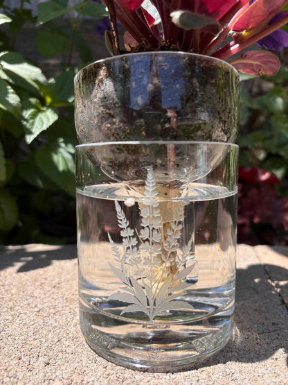 Etched African Violet Clear Vodka Bottle Hydro Planter (1) One - (Self Watering) Eco Friendly, Grow Indoors, Eco Planter, DIY Planter Kit