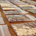 Heirloom Garden Seed Pack: 36 Non-GMO Varieties - Tomato, Pepper, Lettuce