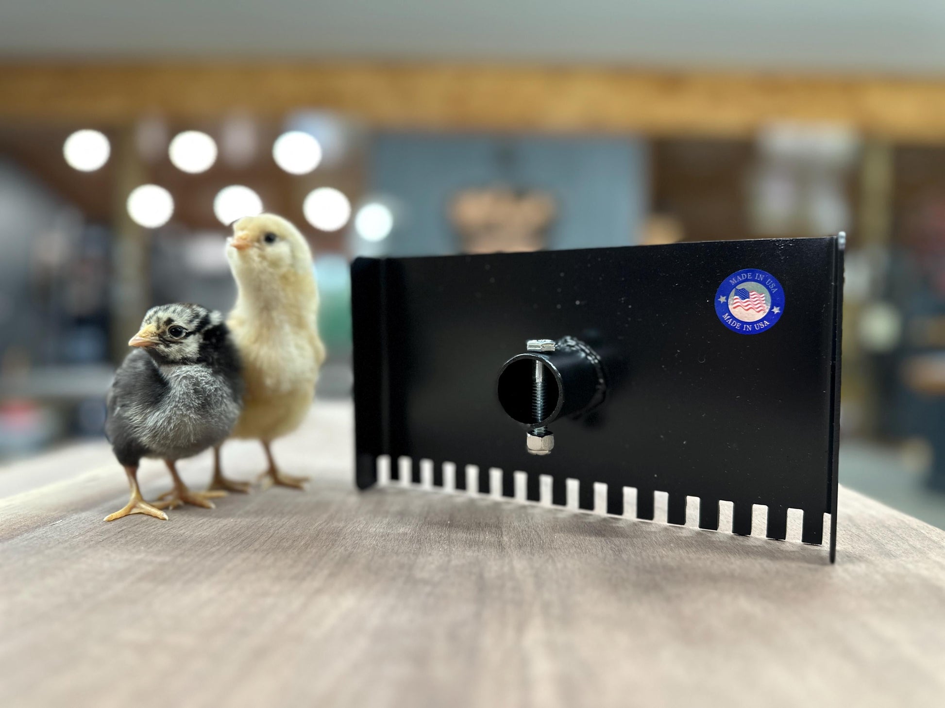 Chicken Coop Droppings Board Scraper Tool