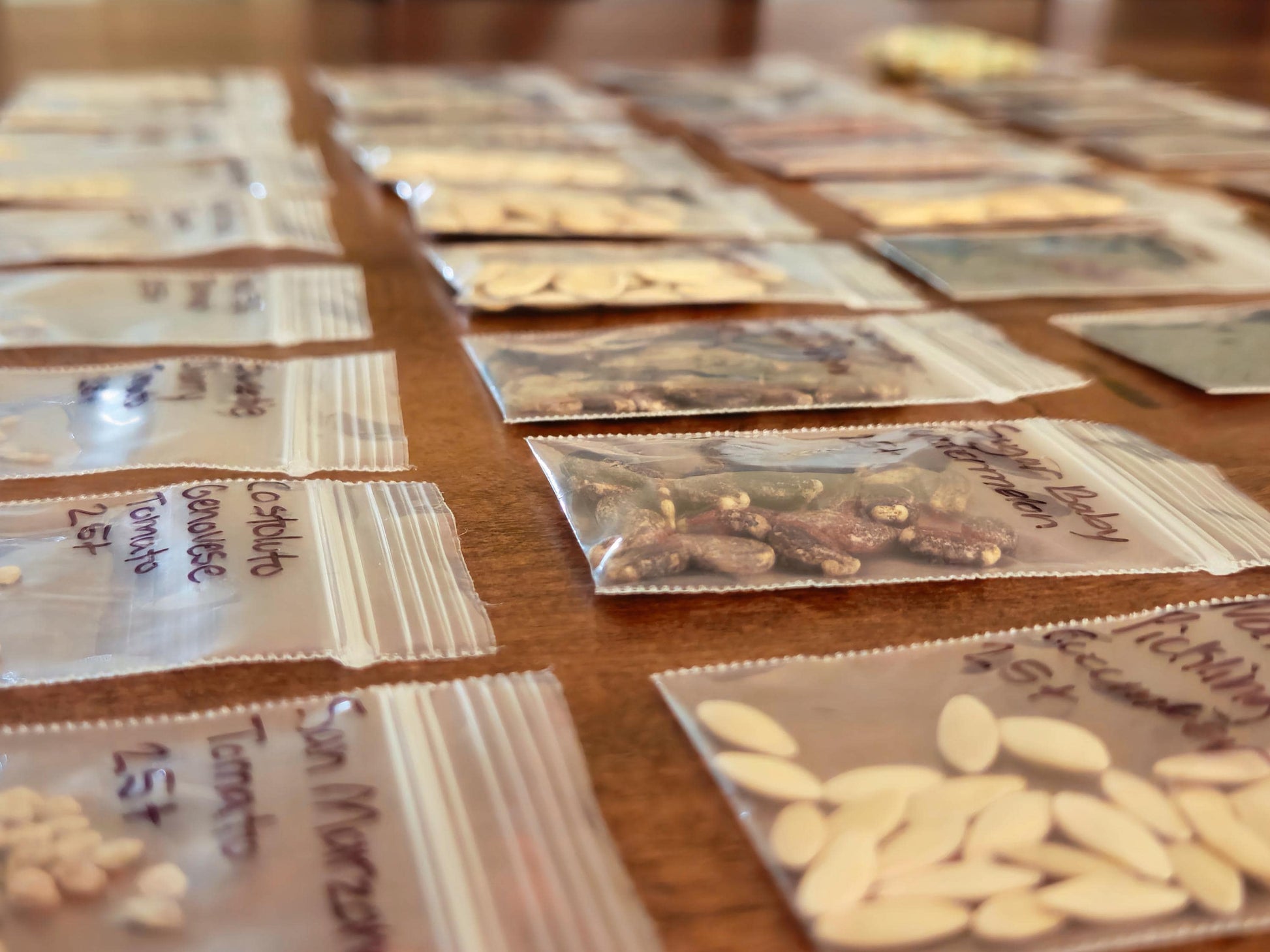 Heirloom Garden Seed Pack: 36 Non-GMO Varieties - Tomato, Pepper, Lettuce