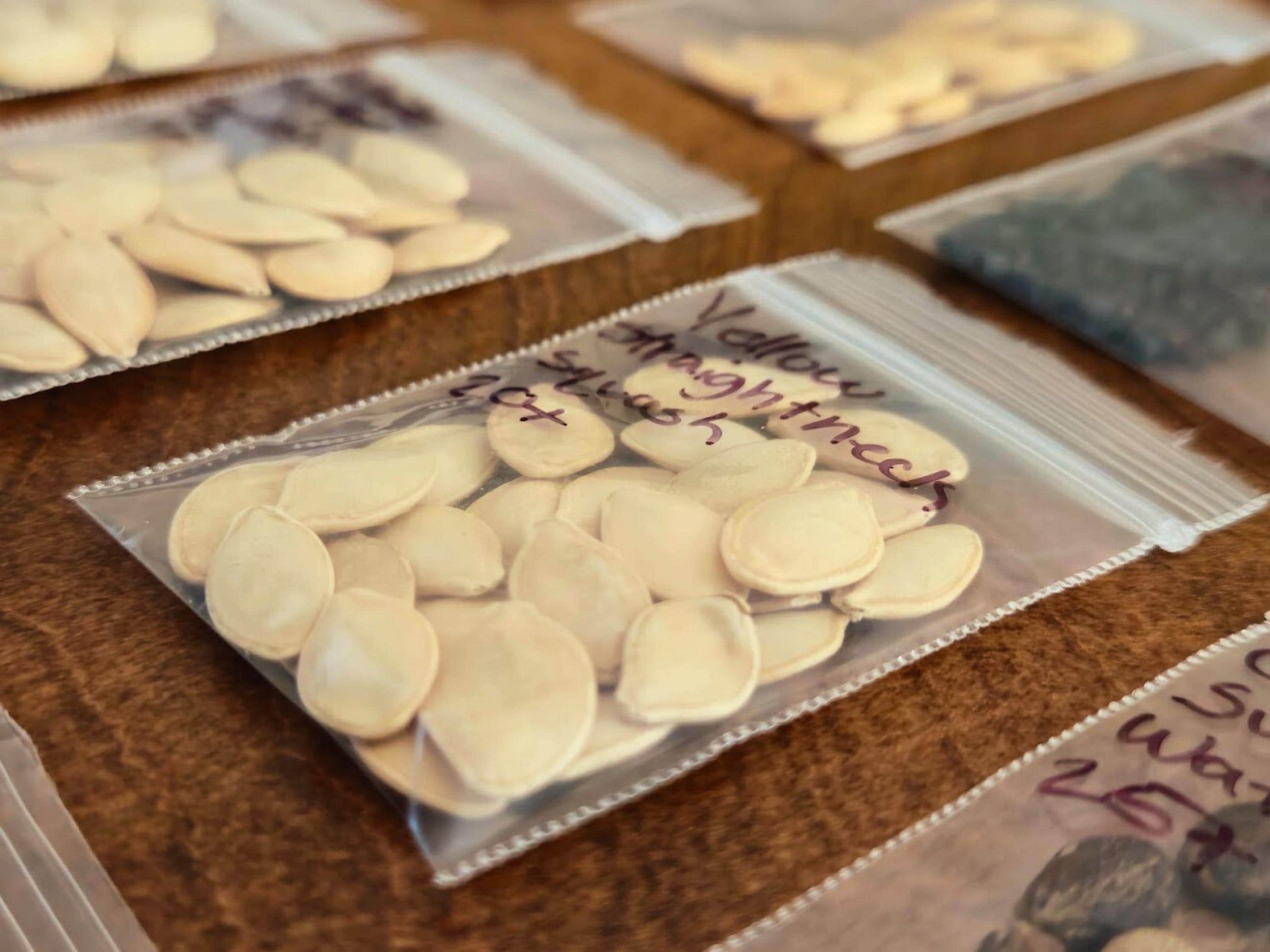 Heirloom Garden Seed Pack: 36 Non-GMO Varieties - Tomato, Pepper, Lettuce