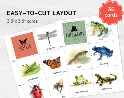 Animal Classification Sorting Cards. Printable Montessori Science Study. BONUS: 6 reference posters.