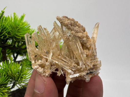 Stunning Gypsum var. Selenite,from Rudna Mine,Poland,Brown Gypsum Selenite,selenite crystal,gypsum,mineral specimen,collection,collectibles