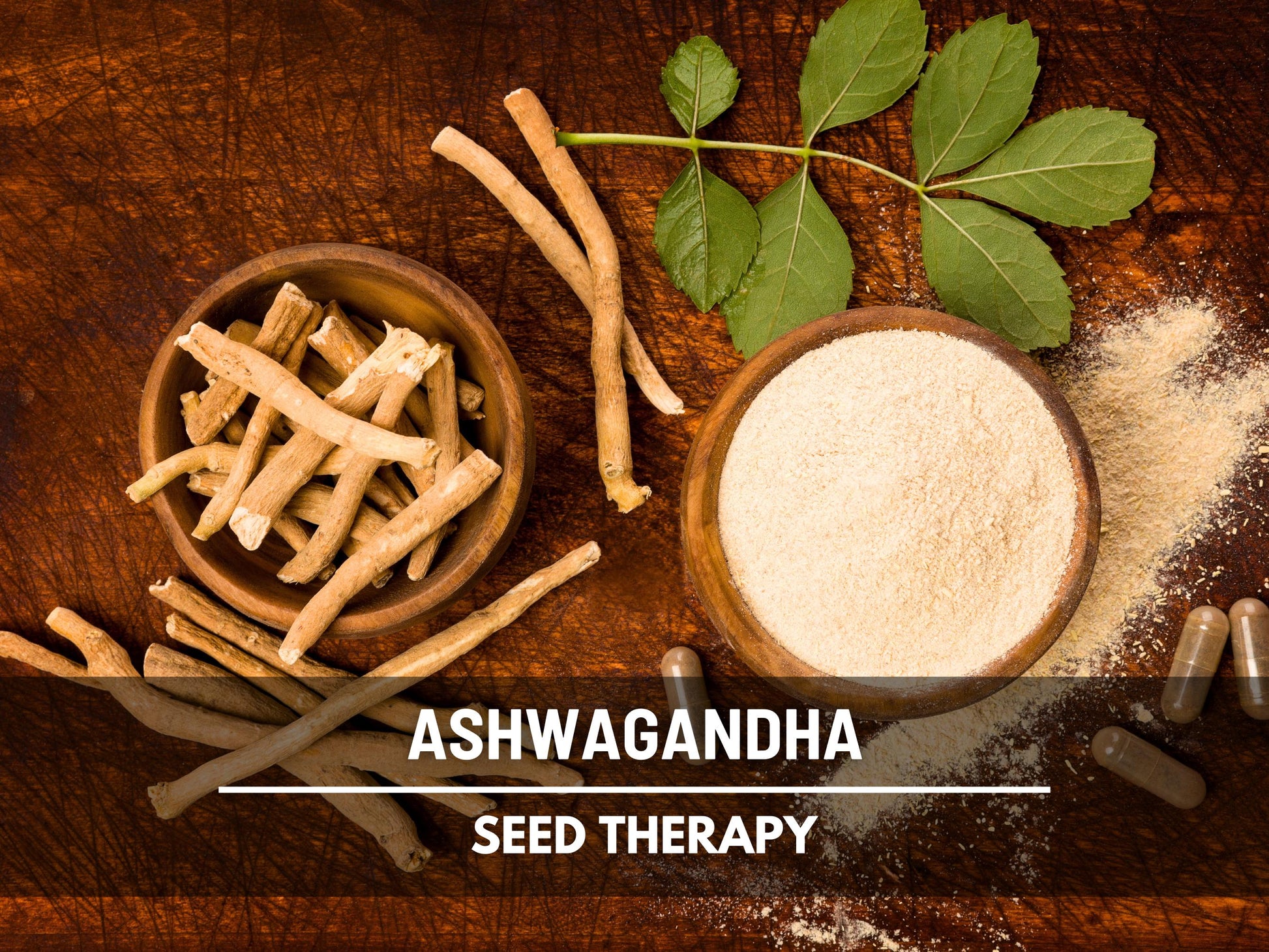 Ashwagandha Seeds – Heirloom Medicinal Herb, Indian Ginseng for Wellness, Apothecary and Therapeutic Gardens | 50 Seeds