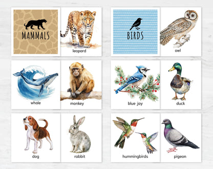 Animal Classification Sorting Cards. Printable Montessori Science Study. BONUS: 6 reference posters.