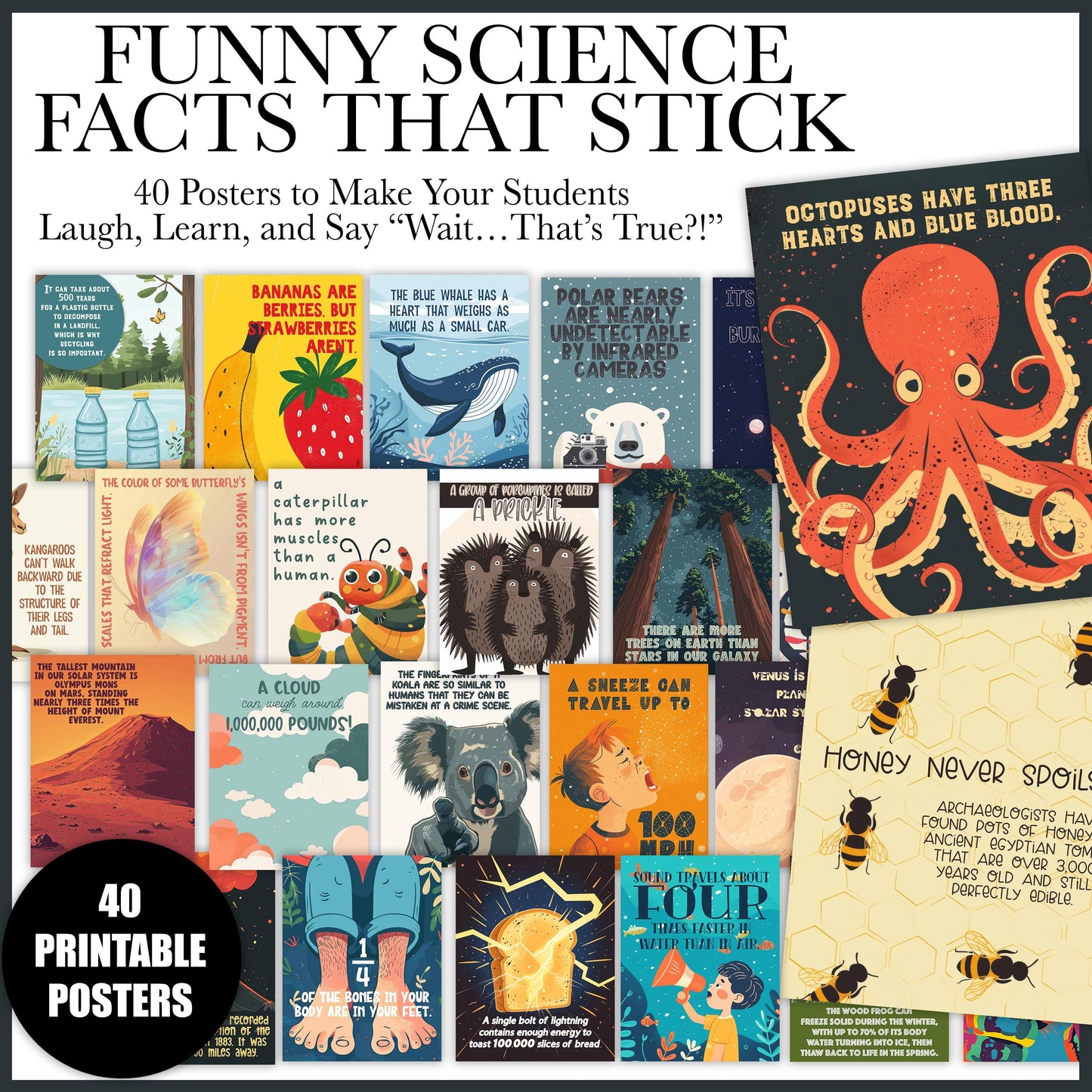40 Funny Science Class Posters | Hilarious Facts Science Teacher Classroom Bulletin Board | Printable Posters for Middle High School Decor