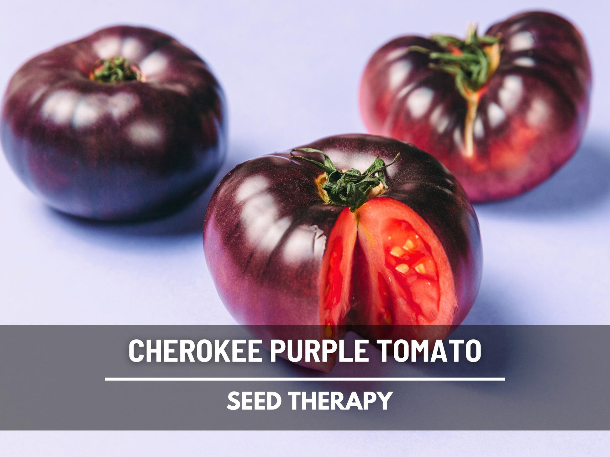 Cherokee Purple Tomato Seeds – Heirloom Vegetable, Best Tasting Beefsteak, Indeterminate, Non-GMO, Garden Gift | 50 Seeds
