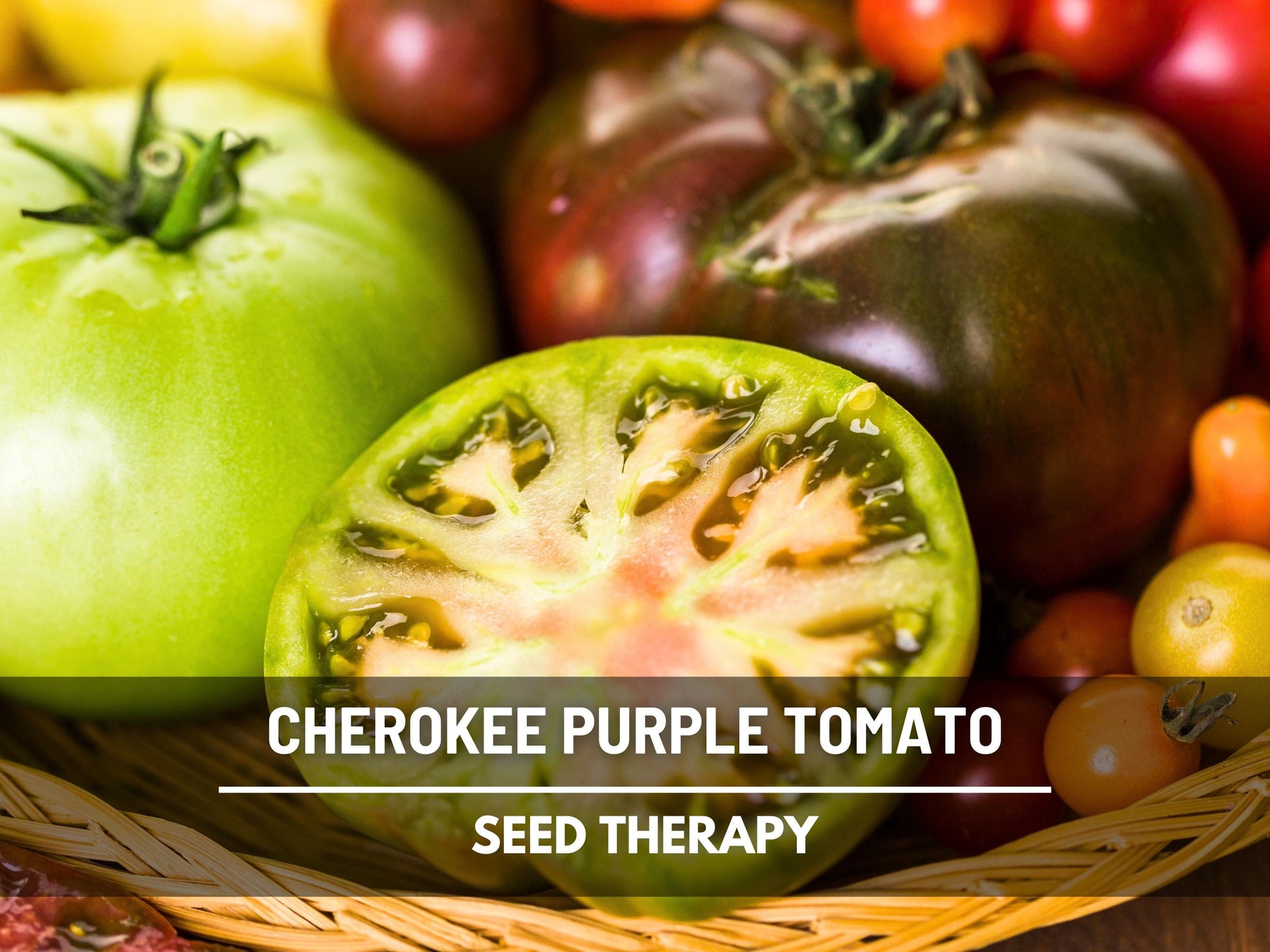 Cherokee Purple Tomato Seeds – Heirloom Vegetable, Best Tasting Beefsteak, Indeterminate, Non-GMO, Garden Gift | 50 Seeds