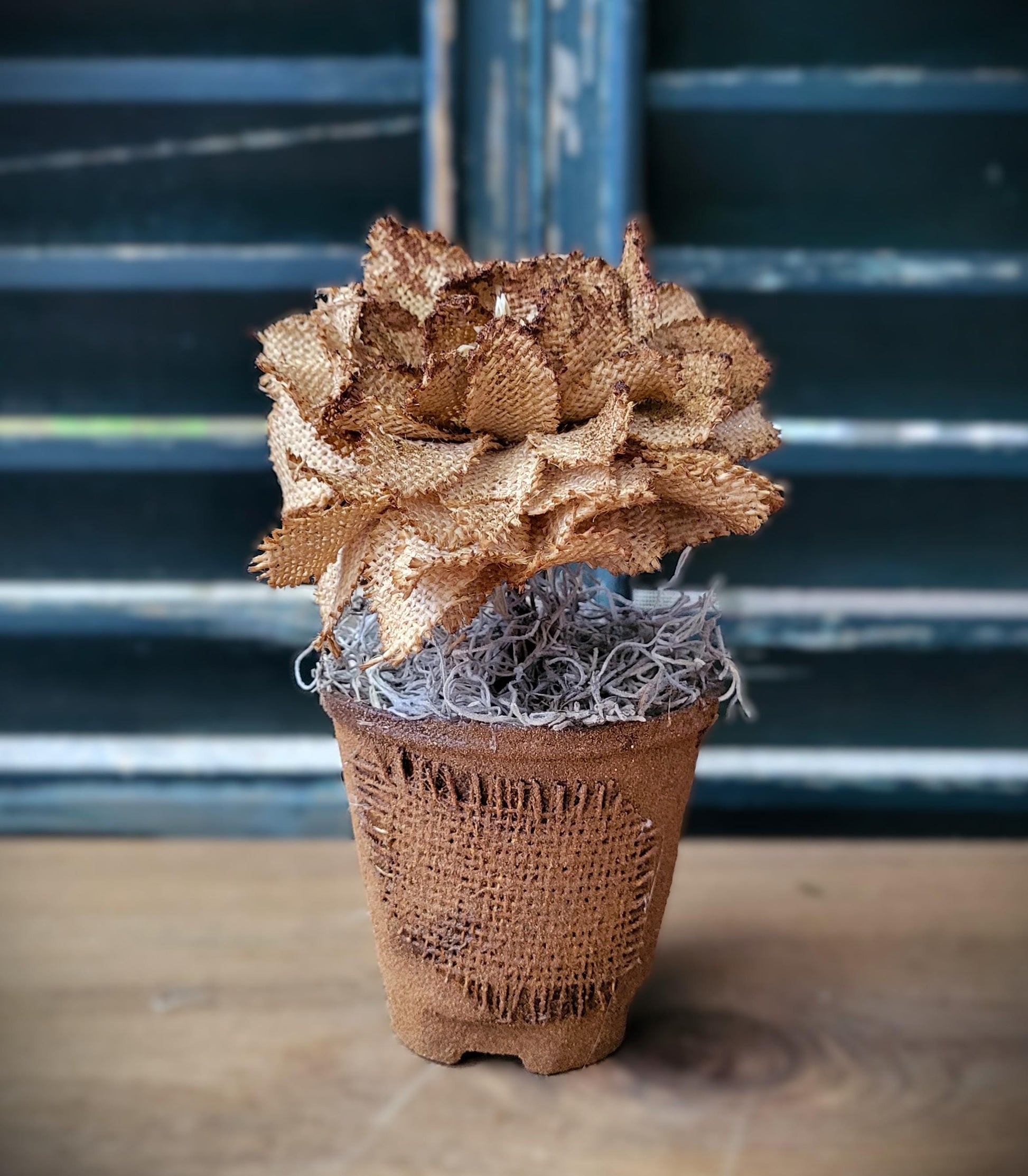 Primitive Flowers Peat Pot Cupboard Tuck