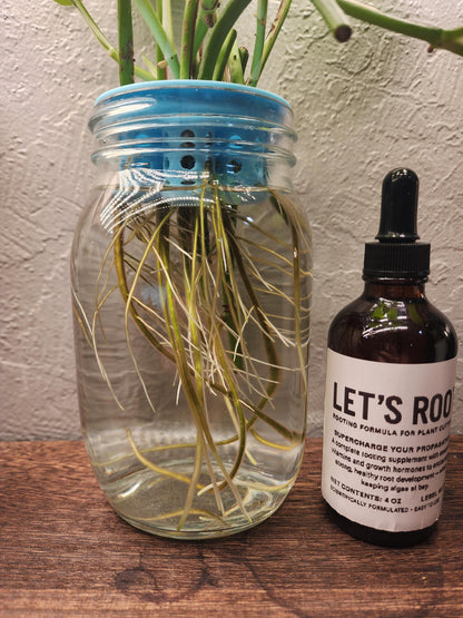 Let’s Root Plant Cutting Rooting Formula | 4 oz Bottle | Propagation Supplement for Water, Soil, LECA
