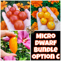 Micro Dwarf Tomato Bundles, 9 Variations, Check Description for Variation Guide.