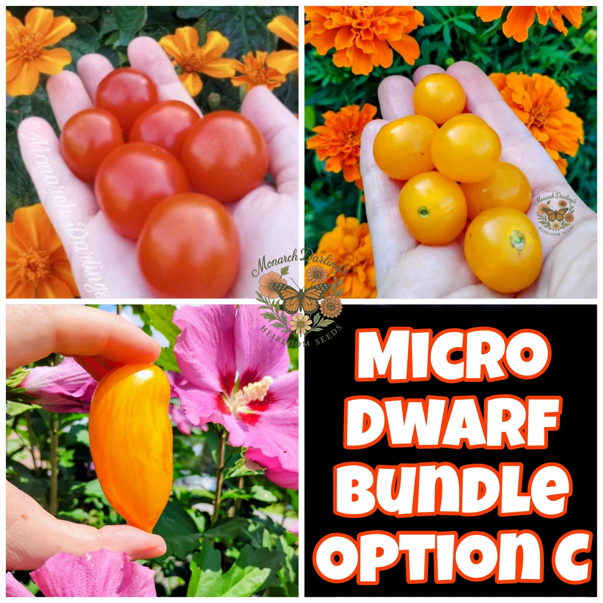 Micro Dwarf Tomato Bundles, 9 Variations, Check Description for Variation Guide.