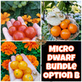 Micro Dwarf Tomato Bundles, 9 Variations, Check Description for Variation Guide.