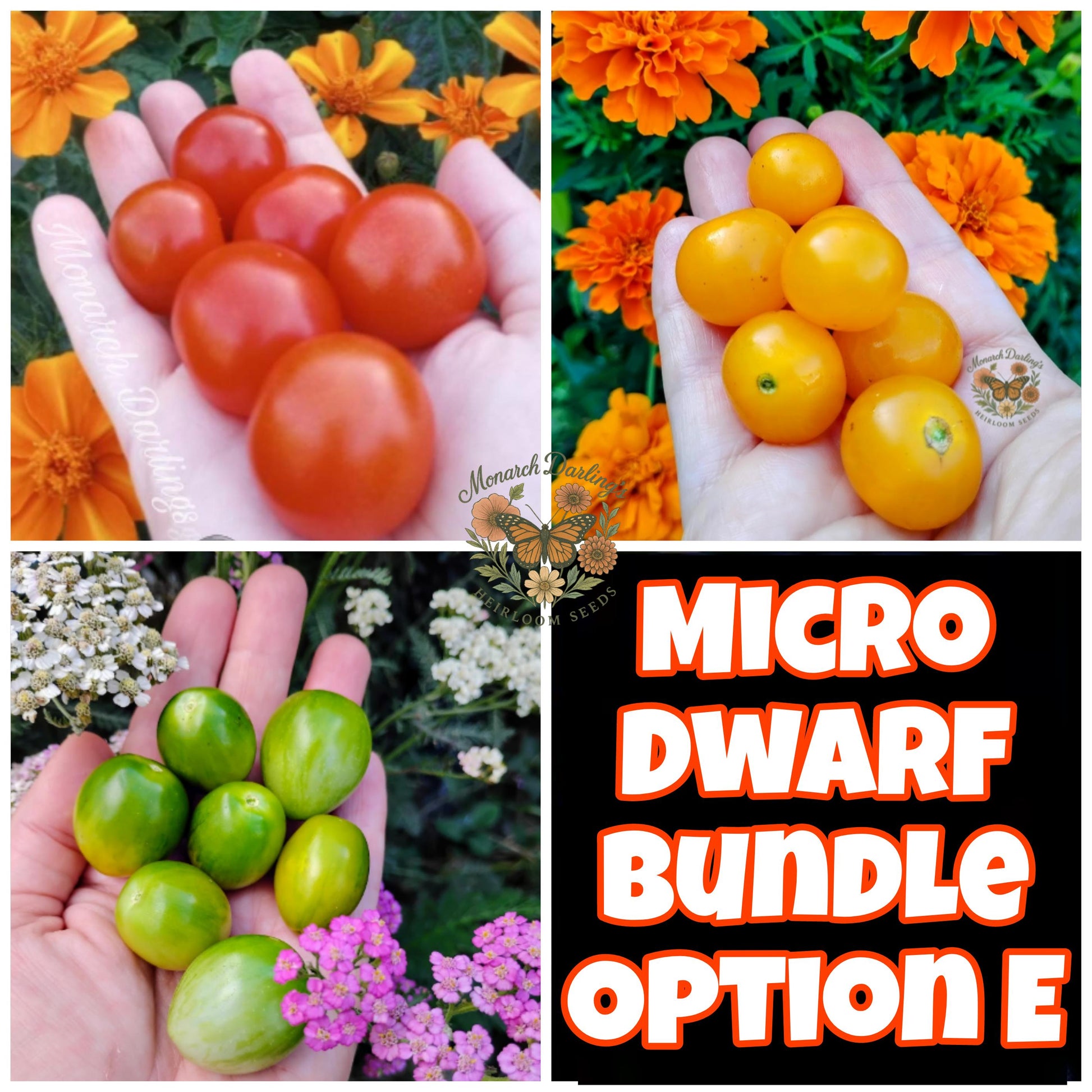 Micro Dwarf Tomato Bundles, 9 Variations, Check Description for Variation Guide.