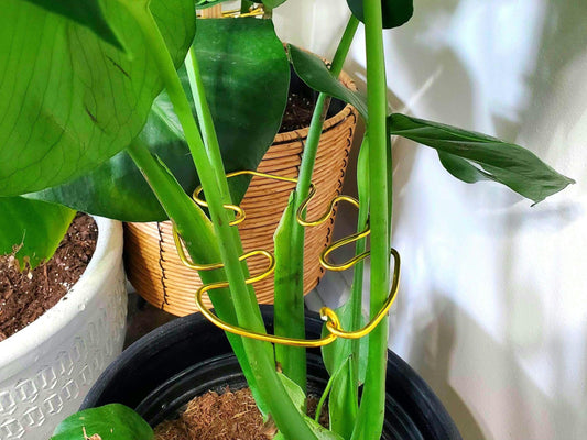 Monstera Leaf Shaped Plant Support, Decorative Home Decor Plant Supports, Cute Indoor Potted Plant Art, Artisan Bohemian Style Plant Trellis