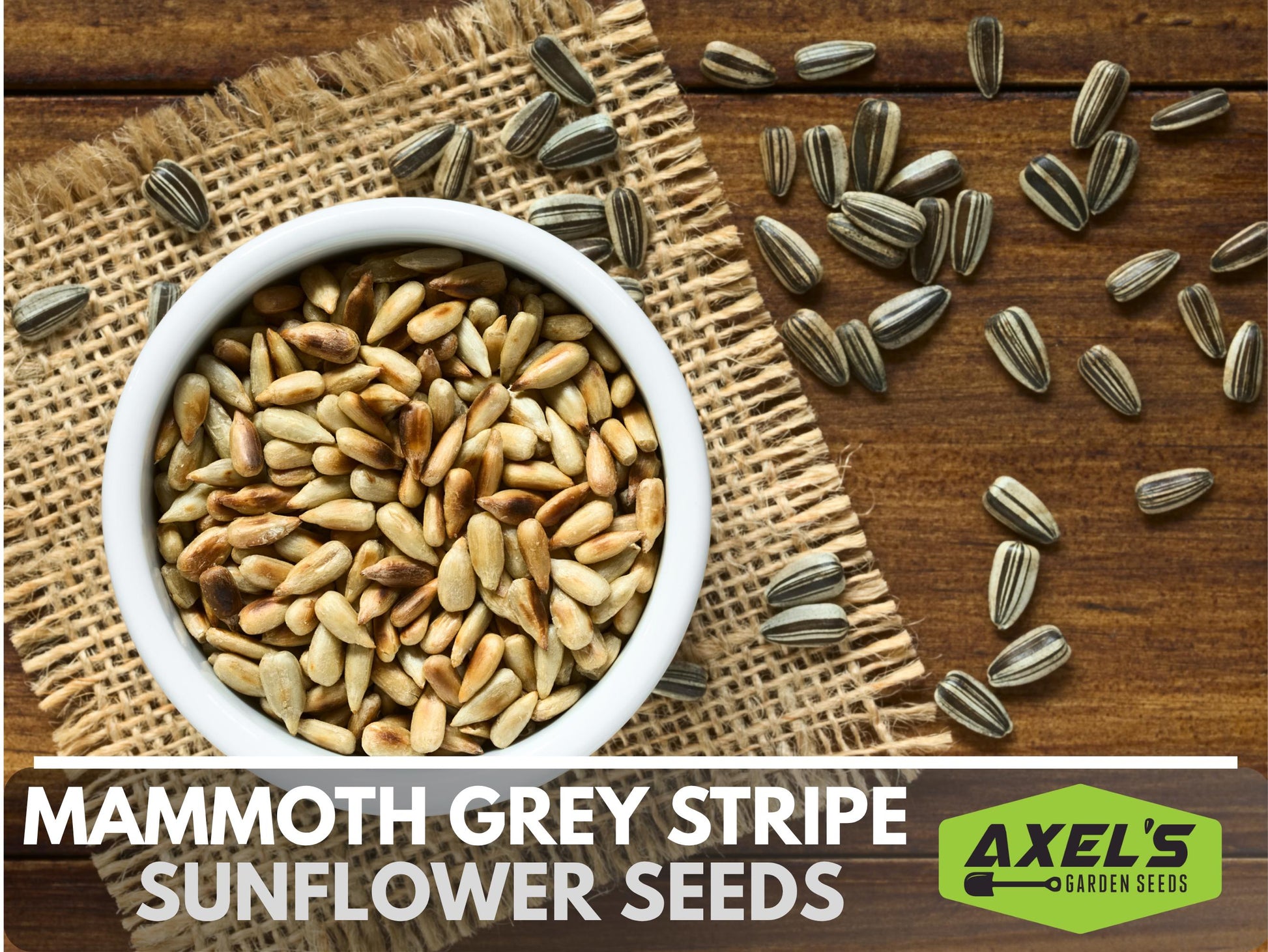 Mammoth Grey Stripe Heirloom Sunflower Seeds - Open Pollinated, Flower Seeds, Non-GMO