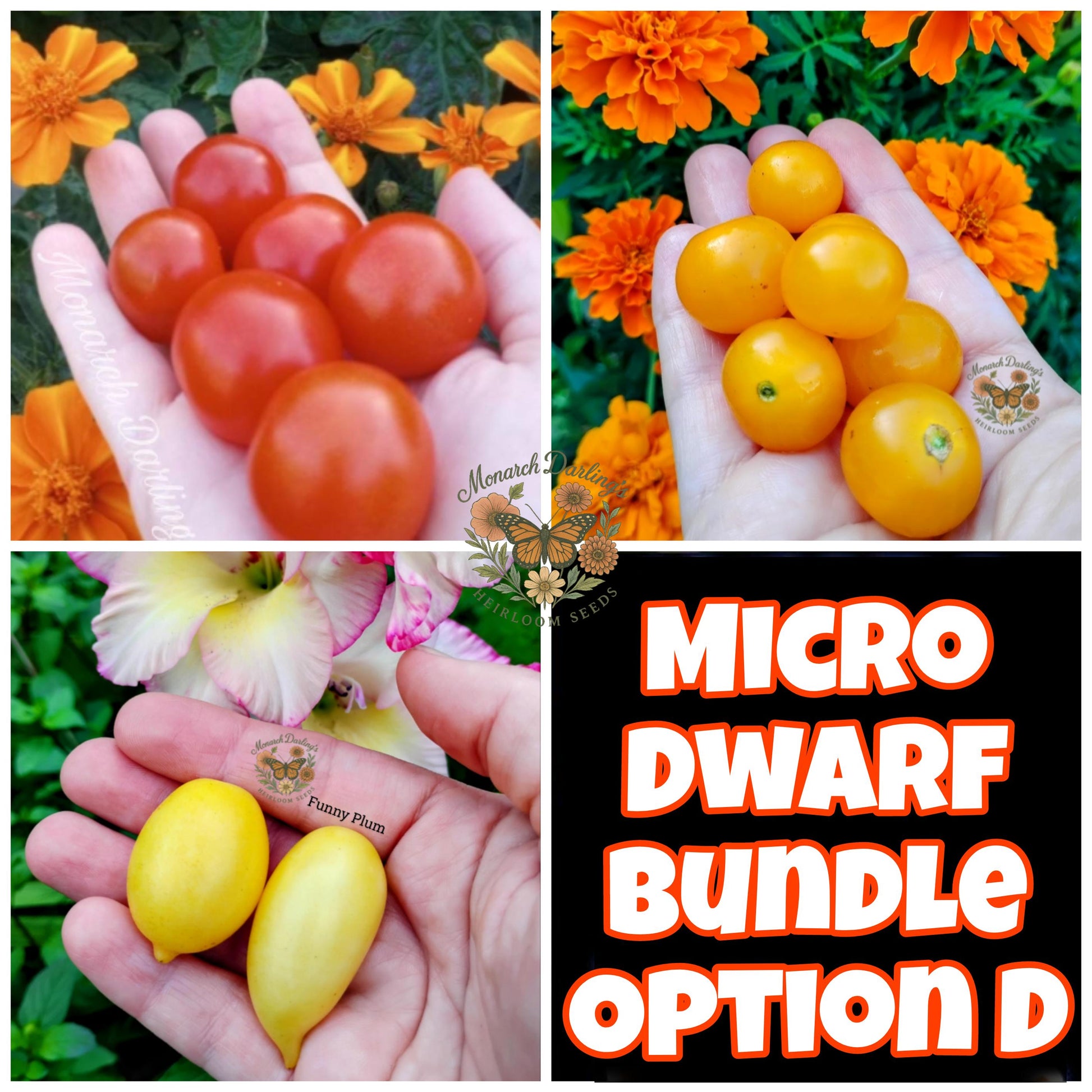 Micro Dwarf Tomato Bundles, 9 Variations, Check Description for Variation Guide.