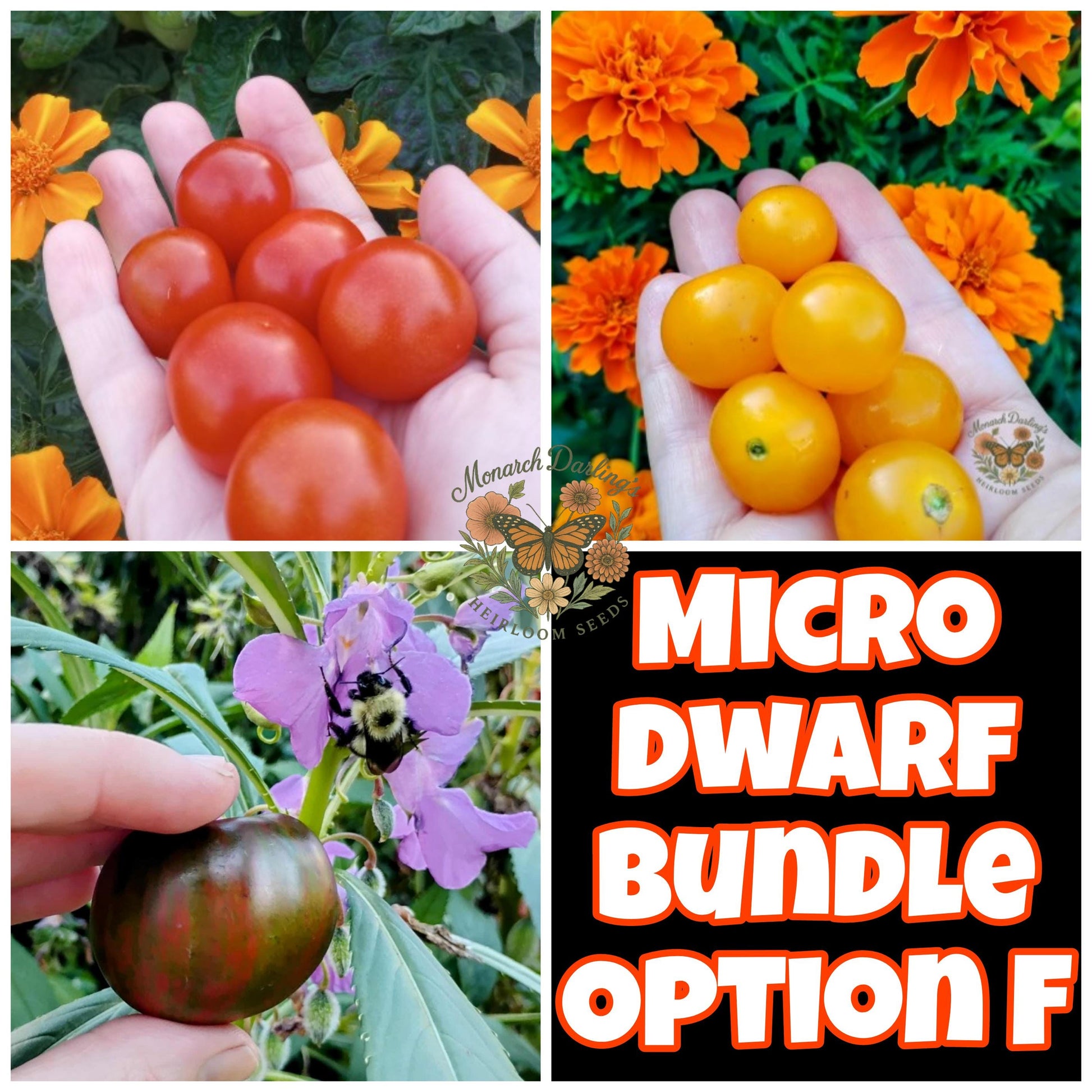 Micro Dwarf Tomato Bundles, 9 Variations, Check Description for Variation Guide.