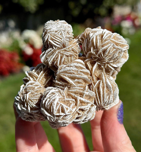 Natural Selenite Gypsum “Desert Rose” Cluster - Mineral Specimen - Crystal Home Decor - Gifts for Nature Lovers